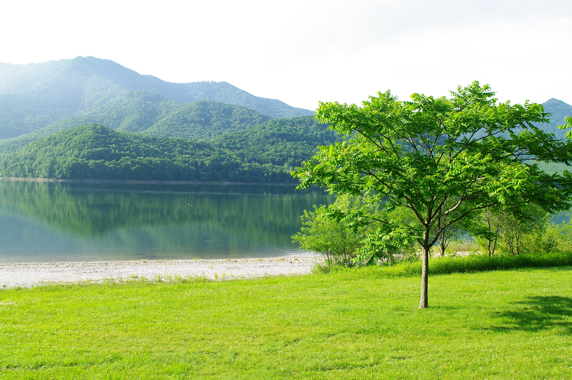 北海道の田園風景と湖
