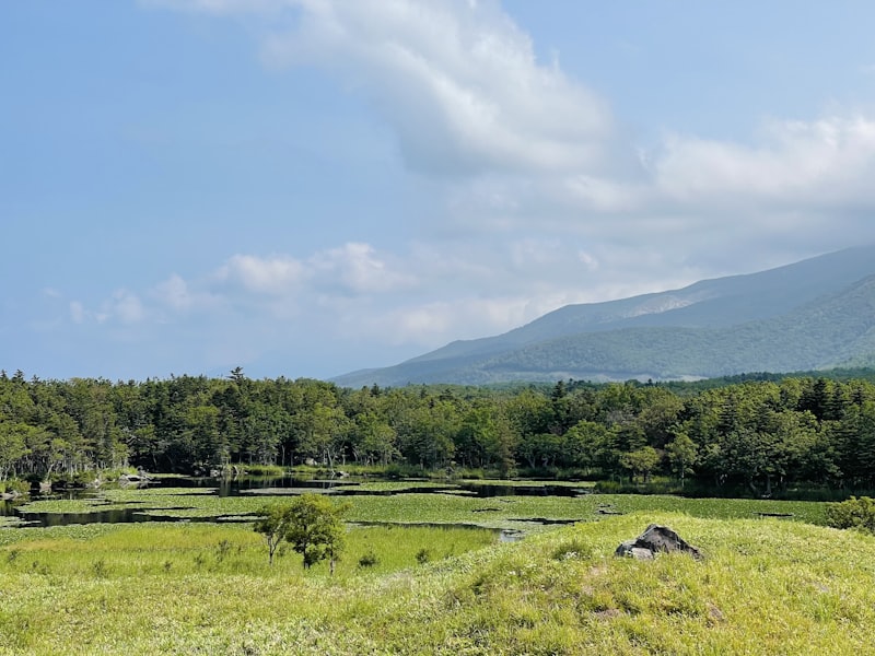 北海道の田園風景