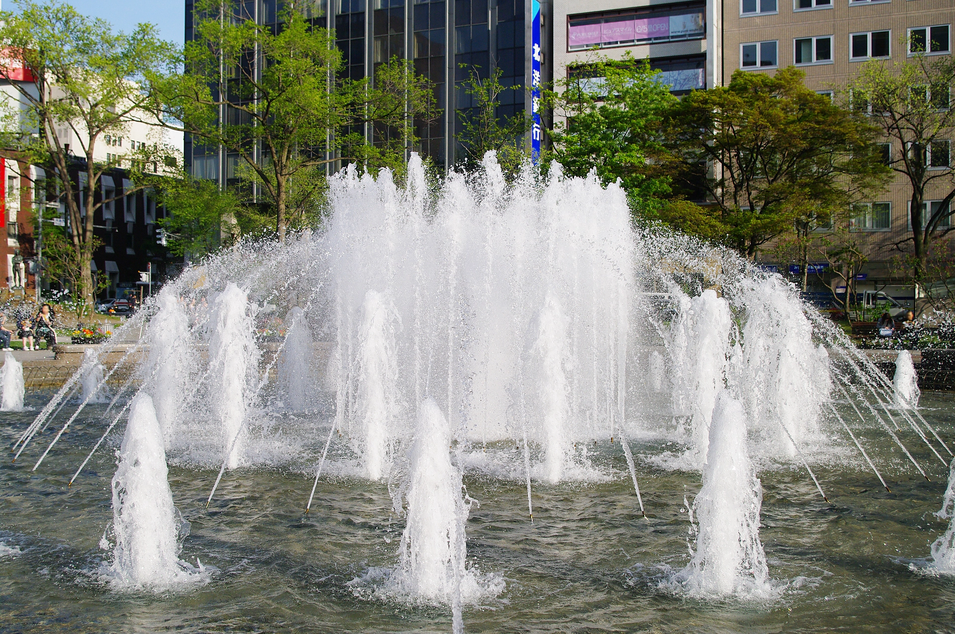 大通公園の噴水と緑